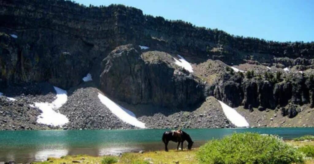 Modoc National Forest