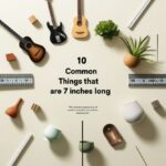 10 Common Things That Are 7 Inches Long